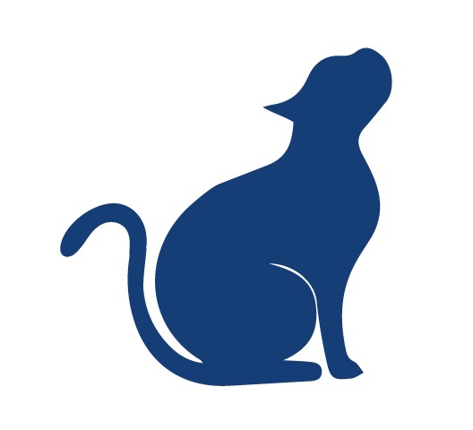 gato