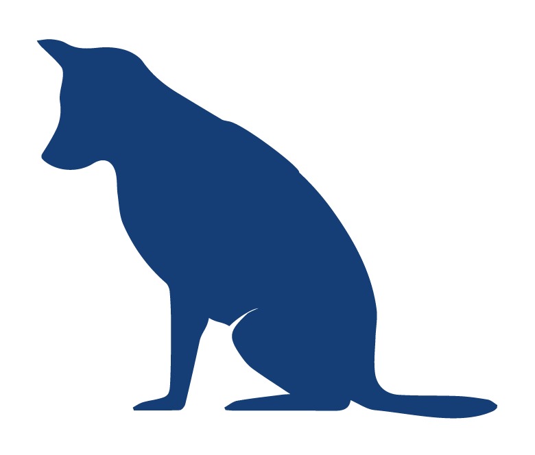 Perro