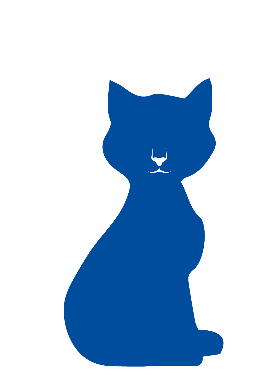 gato