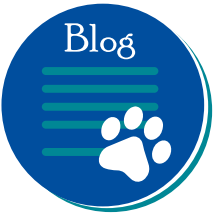 logo blog